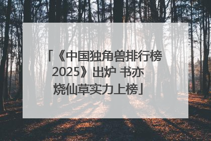 《中国独角兽排行榜2025》出炉 书亦烧仙草实力上榜