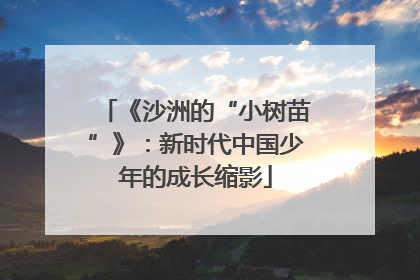 《沙洲的“小树苗”》：新时代中国少年的成长缩影
