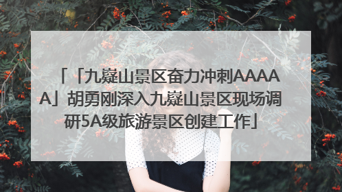 「九嶷山景区奋力冲刺AAAAA」胡勇刚深入九嶷山景区现场调研5A级旅游景区创建工作