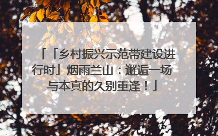 「乡村振兴示范带建设进行时」烟雨兰山：邂逅一场与本真的久别重逢！