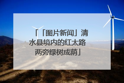 「图片新闻」清水县境内的红太路两旁绿树成荫