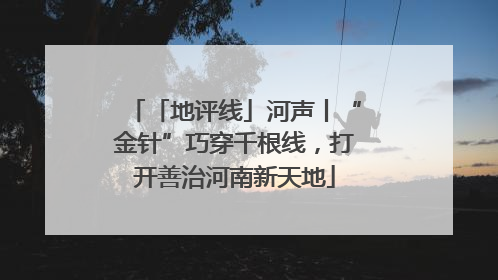 「地评线」河声丨“金针”巧穿千根线，打开善治河南新天地