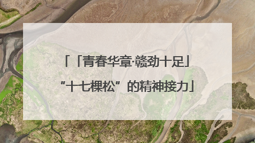 「青春华章·赣劲十足」“十七棵松”的精神接力