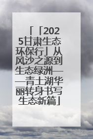 「2025甘肃生态环保行」从风沙之源到生态绿洲——青土湖华丽转身书写生态新篇