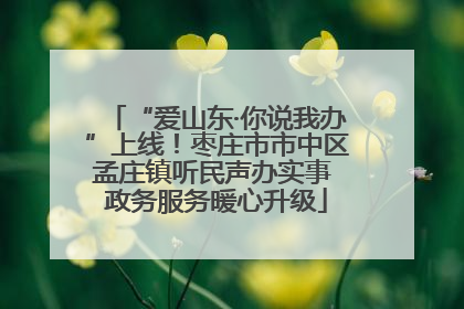 “爱山东·你说我办”上线！枣庄市市中区孟庄镇听民声办实事 政务服务暖心升级