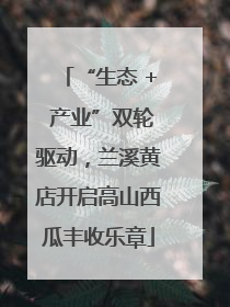 “生态 + 产业”双轮驱动，兰溪黄店开启高山西瓜丰收乐章