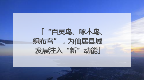 “百灵鸟、啄木鸟、织布鸟”，为仙居县域发展注入“新”动能