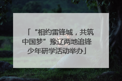 “相约雷锋城，共筑中国梦”豫辽两地追锋少年研学活动举办