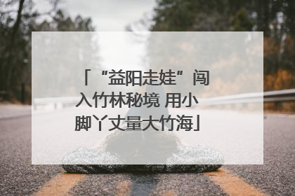 “益阳走娃”闯入竹林秘境 用小脚丫丈量大竹海