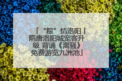 “粽”情洛阳丨隋唐洛阳城宠客升级 背诵《离骚》免费游览九洲池