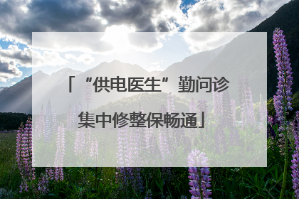 “供电医生”勤问诊 集中修整保畅通