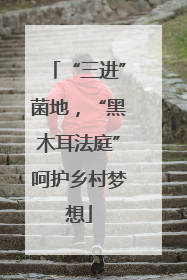“三进”菌地，“黑木耳法庭”呵护乡村梦想