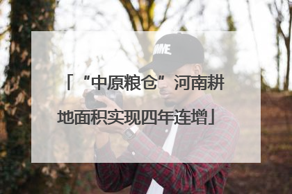 “中原粮仓”河南耕地面积实现四年连增