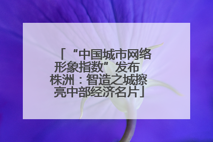 “中国城市网络形象指数”发布 株洲：智造之城擦亮中部经济名片