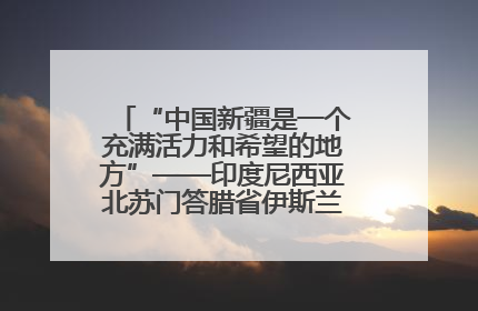 “中国新疆是一个充满活力和希望的地方”——印度尼西亚北苏门答腊省伊斯兰教代表团参访新疆