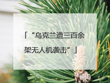 “乌克兰遭三百余架无人机袭击”