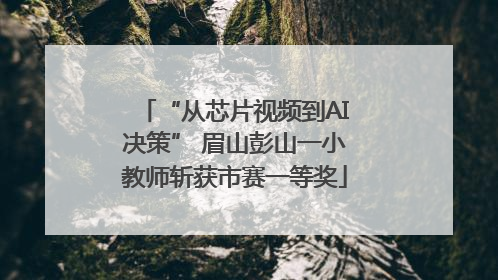 “从芯片视频到AI决策” 眉山彭山一小教师斩获市赛一等奖