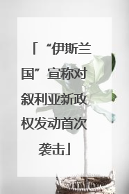 “伊斯兰国”宣称对叙利亚新政权发动首次袭击