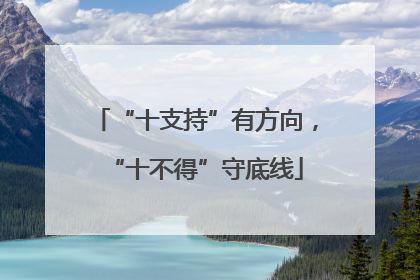 “十支持”有方向，“十不得”守底线