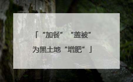 “加餐”“盖被” 为黑土地“增肥”