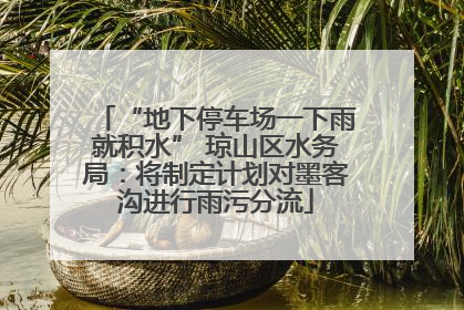 “地下停车场一下雨就积水” 琼山区水务局：将制定计划对墨客沟进行雨污分流