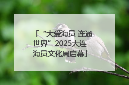 “大爱海员 连通世界”2025大连海员文化周启幕