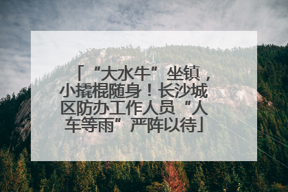 “大水牛”坐镇，小撬棍随身！长沙城区防办工作人员“人车等雨”严阵以待