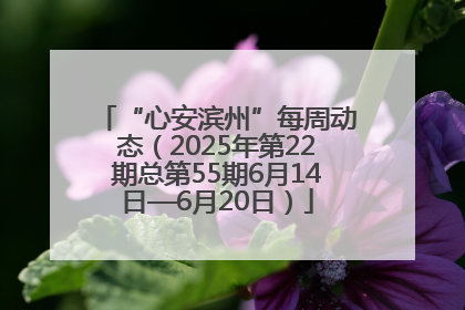 “心安滨州”每周动态（2025年第22期总第55期6月14日—6月20日）