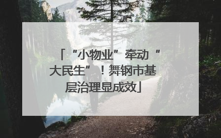 “小物业”牵动“大民生”！舞钢市基层治理显成效