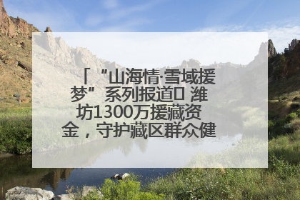 “山海情·雪域援梦”系列报道⑪ 潍坊1300万援藏资金，守护藏区群众健康“最后一公里”