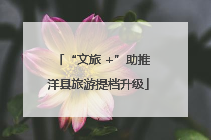 “文旅 +”助推洋县旅游提档升级