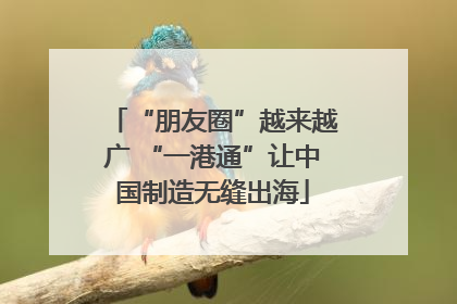 “朋友圈”越来越广 “一港通”让中国制造无缝出海