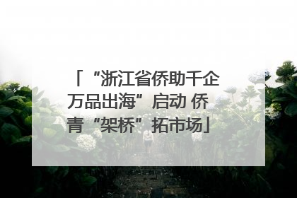 “浙江省侨助千企万品出海”启动 侨青“架桥”拓市场