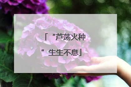 “芦荡火种”生生不息