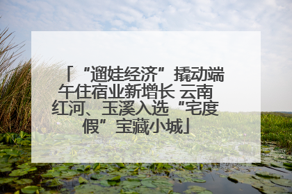 “遛娃经济”撬动端午住宿业新增长 云南红河、玉溪入选“宅度假”宝藏小城