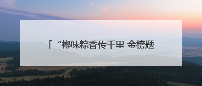 “郴味粽香传千里 金榜题名创未来”特色粽子推介暨大学生创业助力活动收官