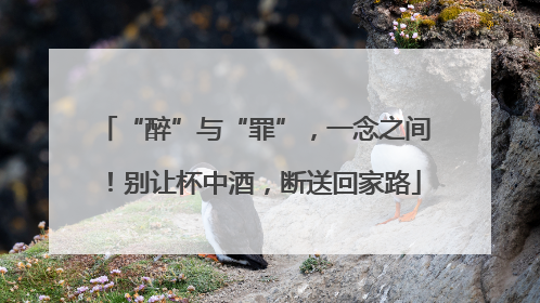 “醉”与“罪”，一念之间！别让杯中酒，断送回家路