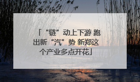 “链”动上下游 跑出新“汽”势 新郑这个产业多点开花