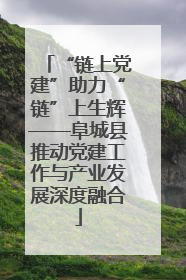 “链上党建”助力“链”上生辉——阜城县推动党建工作与产业发展深度融合