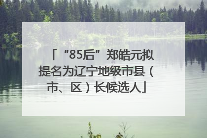 “85后”郑皓元拟提名为辽宁地级市县（市、区）长候选人
