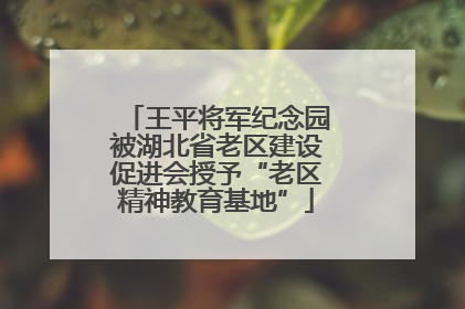 王平将军纪念园被湖北省老区建设促进会授予“老区精神教育基地”