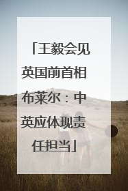 王毅会见英国前首相布莱尔：中英应体现责任担当