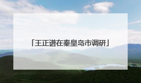 王正谱在秦皇岛市调研