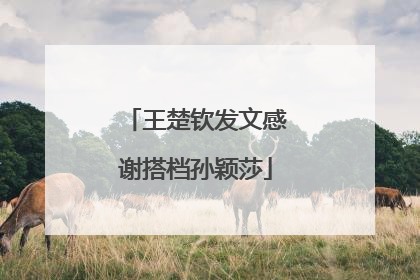 王楚钦发文感谢搭档孙颖莎
