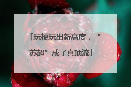 玩梗玩出新高度，“苏超”成了真顶流