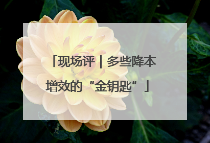 现场评｜多些降本增效的“金钥匙”