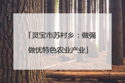 灵宝市苏村乡：做强做优特色农业产业