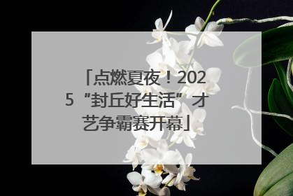 点燃夏夜！2025“封丘好生活”才艺争霸赛开幕