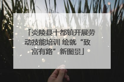 炎陵县十都镇开展劳动技能培训 绘就“致富有路”新图景