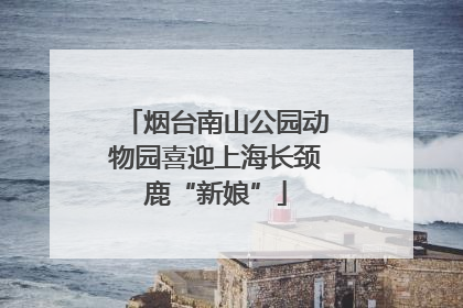 烟台南山公园动物园喜迎上海长颈鹿“新娘”